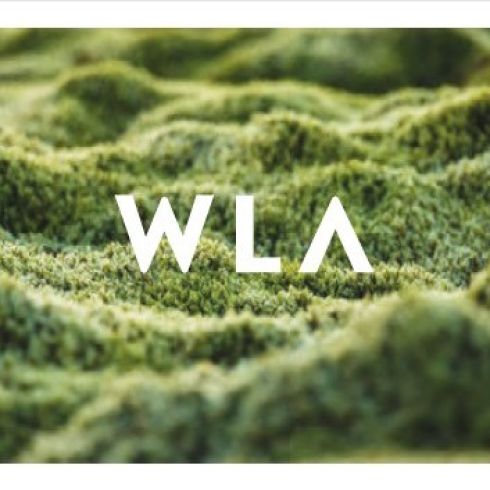 Team WLA